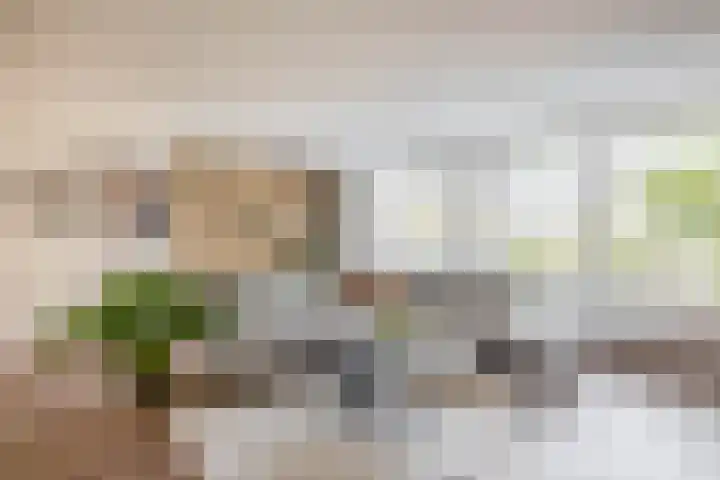 Louis Couperusplaats 169 Capelle aan den IJssel thumbnail 8