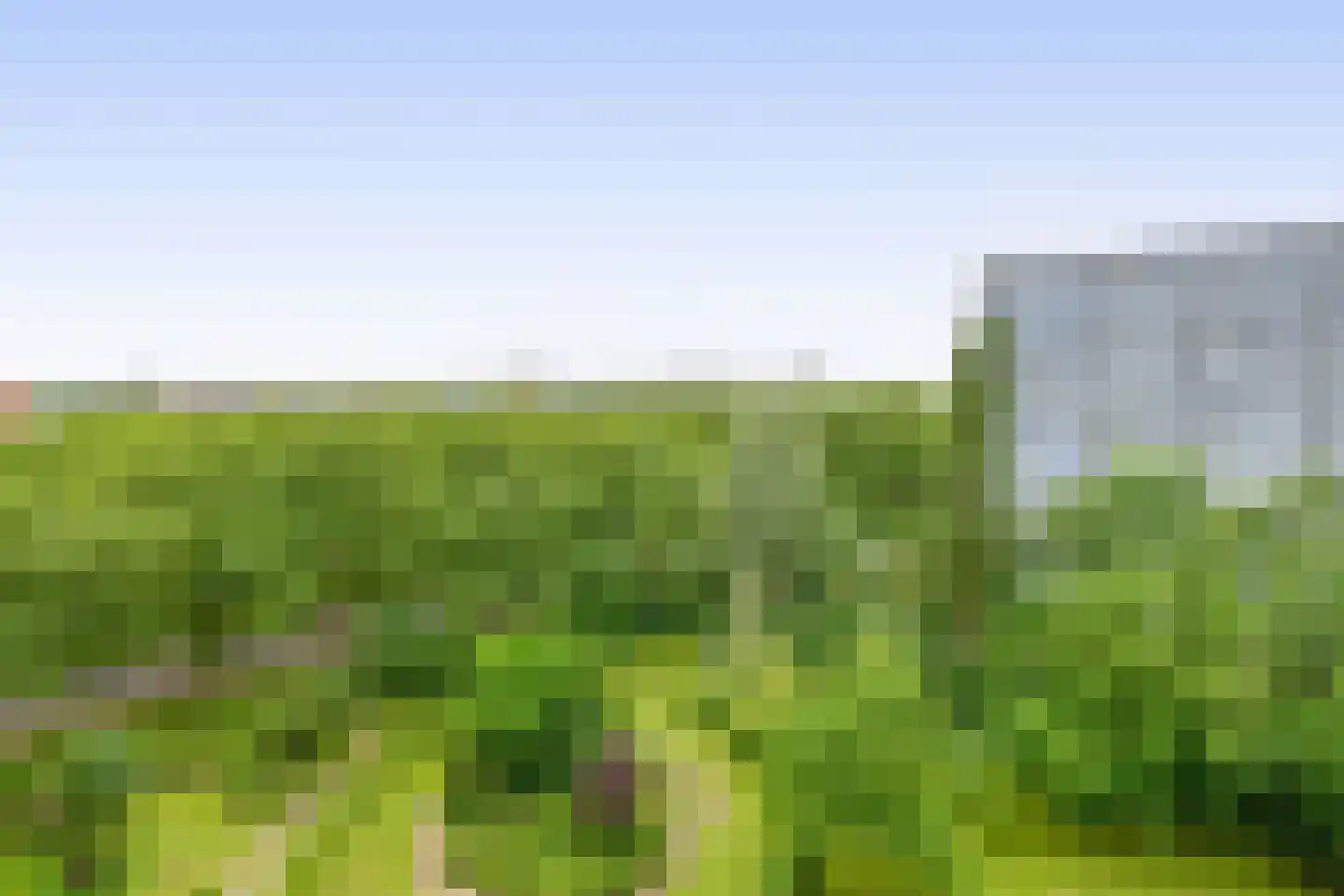 Louis Couperusplaats 207 Capelle aan den IJssel thumbnail 38