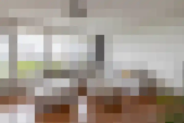 Louis Couperusplaats 223 Capelle aan den IJssel thumbnail 15