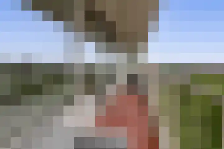 Louis Couperusplaats 223 Capelle aan den IJssel thumbnail 20