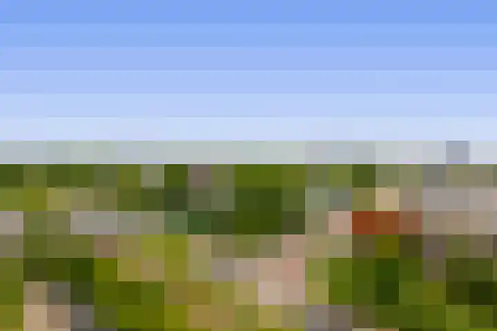 Louis Couperusplaats 223 Capelle aan den IJssel thumbnail 35