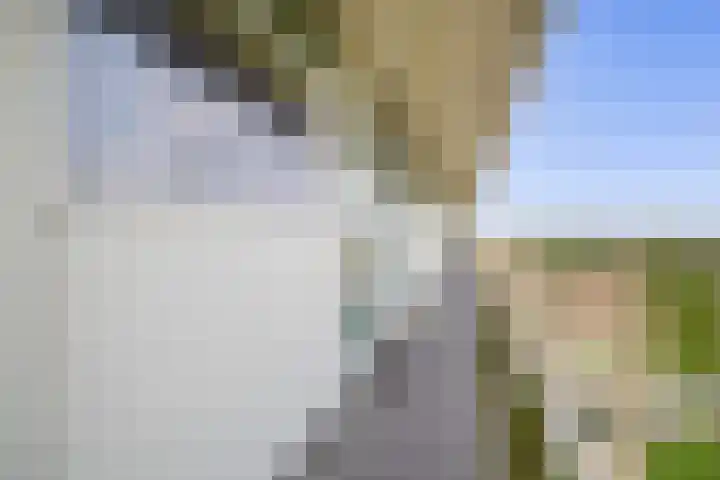 Louis Couperusplaats 261 Capelle aan den IJssel thumbnail 12
