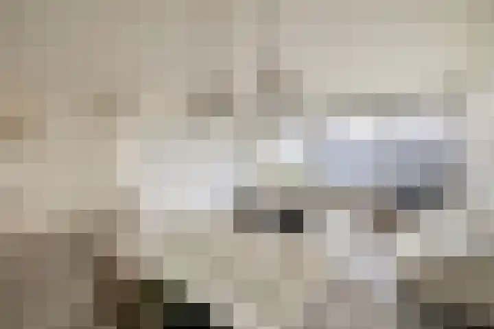 Louis Couperusplaats 261 Capelle aan den IJssel thumbnail 19