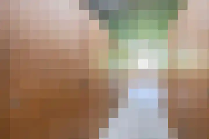 Louis Couperusplaats 261 Capelle aan den IJssel thumbnail 30