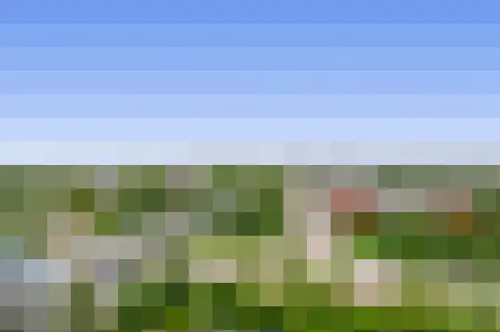 Louis Couperusplaats 261 Capelle aan den IJssel thumbnail 32