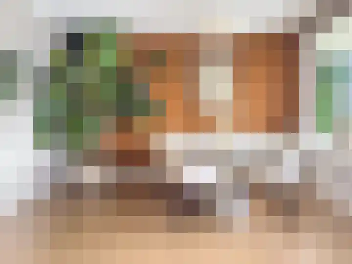 Louis Couperusplaats 281 Capelle aan den IJssel thumbnail 8