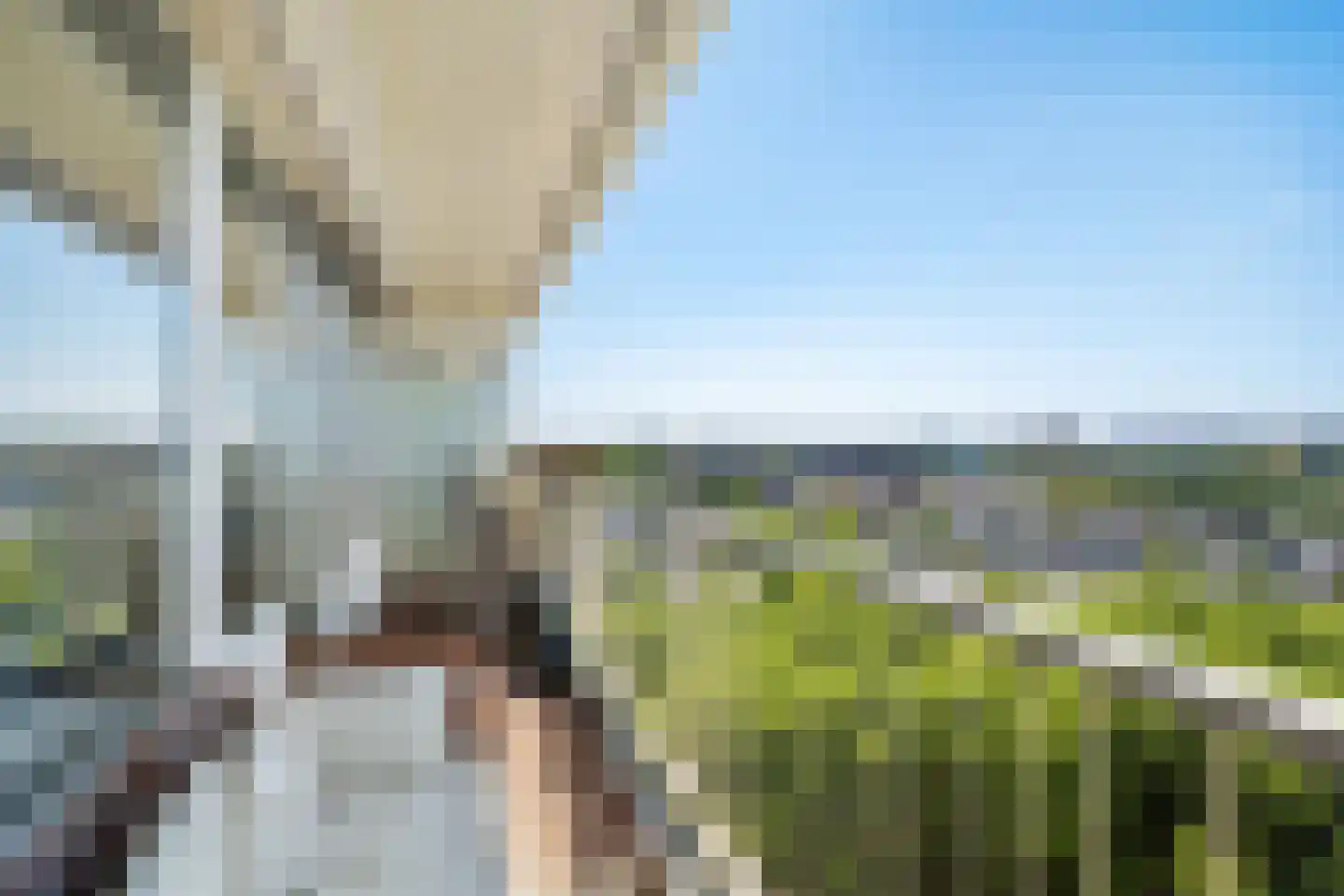 Louis Couperusplaats 299 Capelle aan den IJssel thumbnail 9