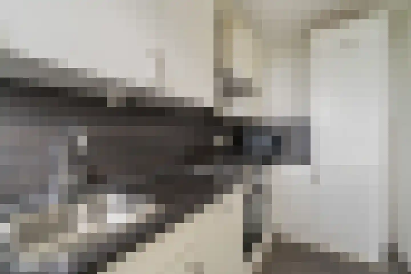 Louis Couperusplaats 311 Capelle aan den IJssel thumbnail 12