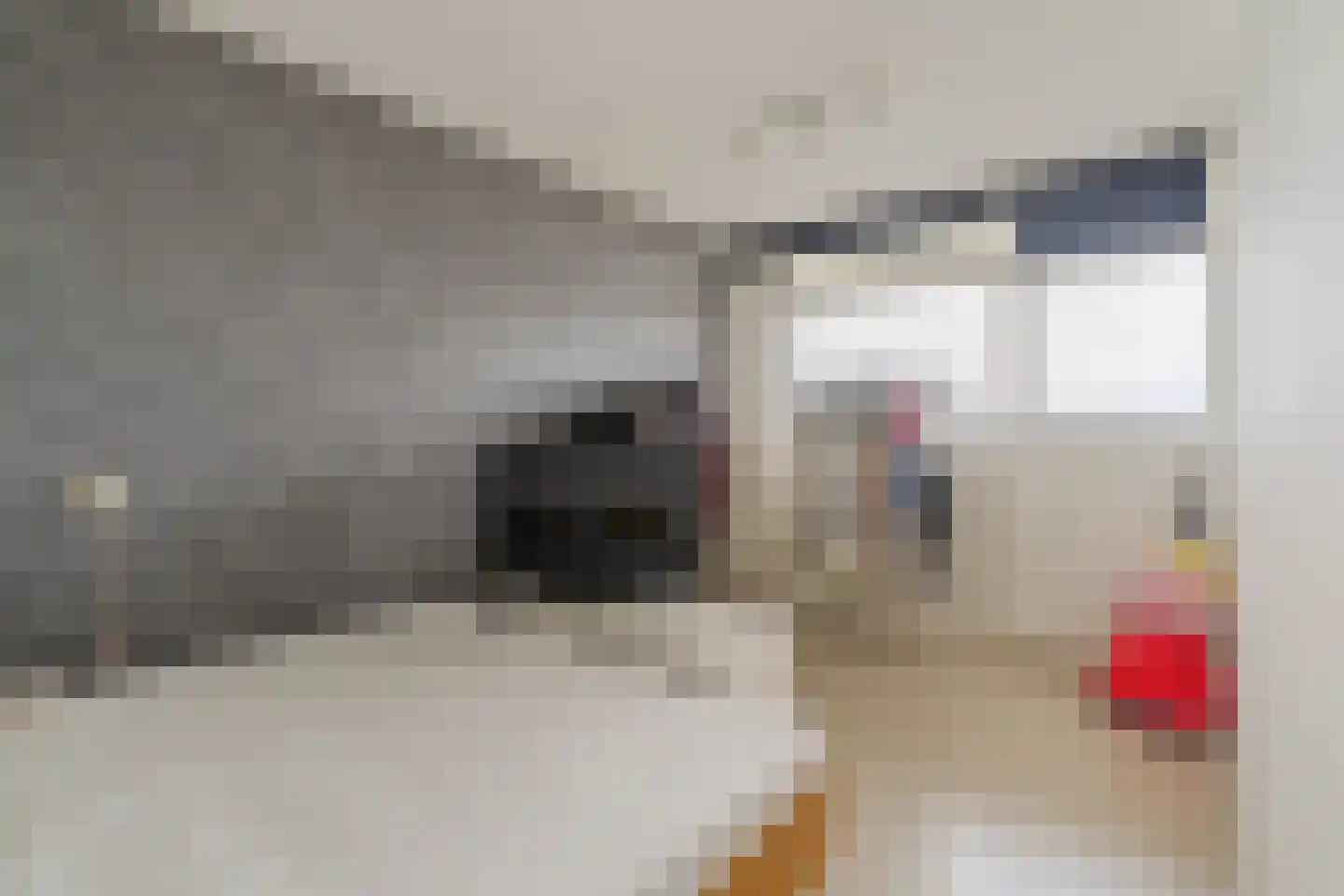 Louis Couperusplaats 311 Capelle aan den IJssel thumbnail 13