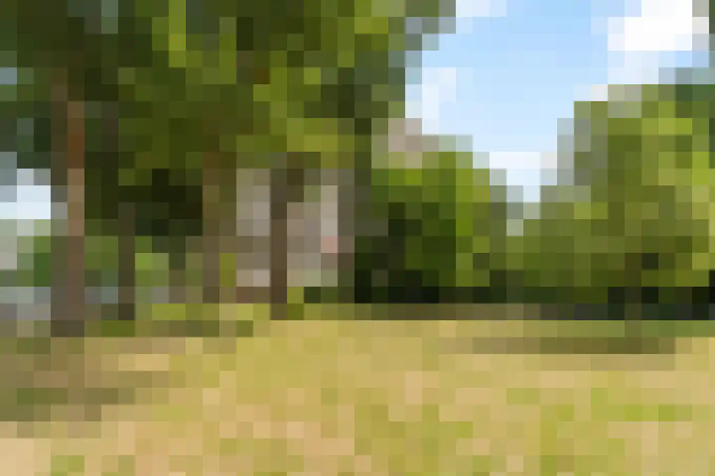 Louis Couperusplaats 49 Capelle aan den IJssel thumbnail 26