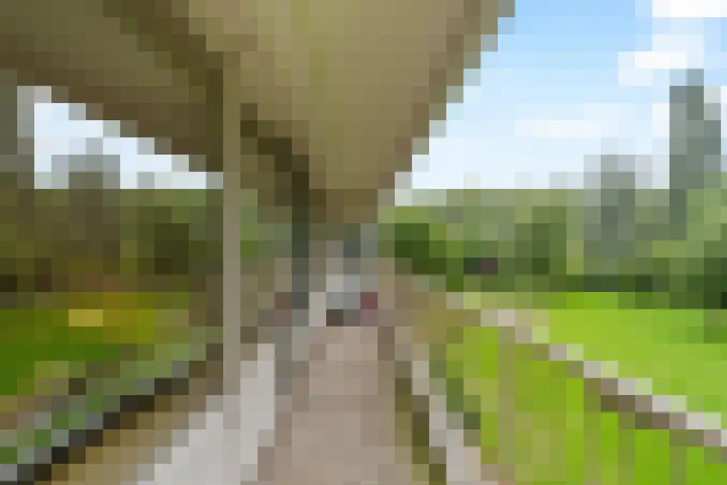 Louis Couperusplaats 49 Capelle aan den IJssel thumbnail 5