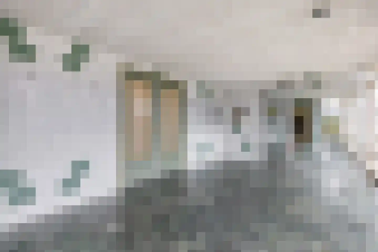 Louis Couperusplaats 79 Capelle aan den IJssel thumbnail 6