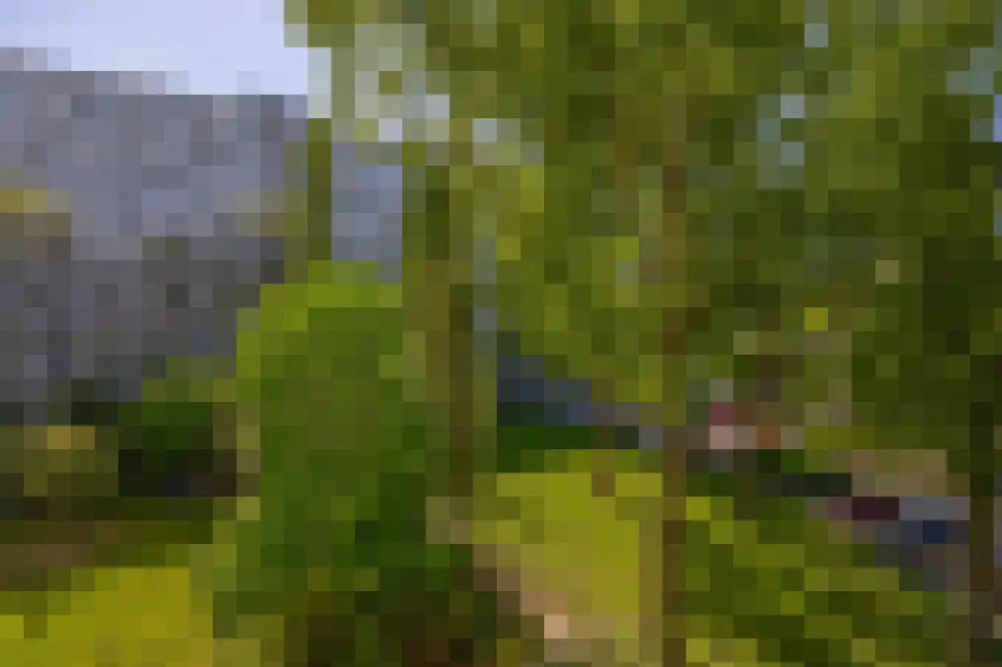 Louis Couperusplaats 95 Capelle aan den IJssel thumbnail 34