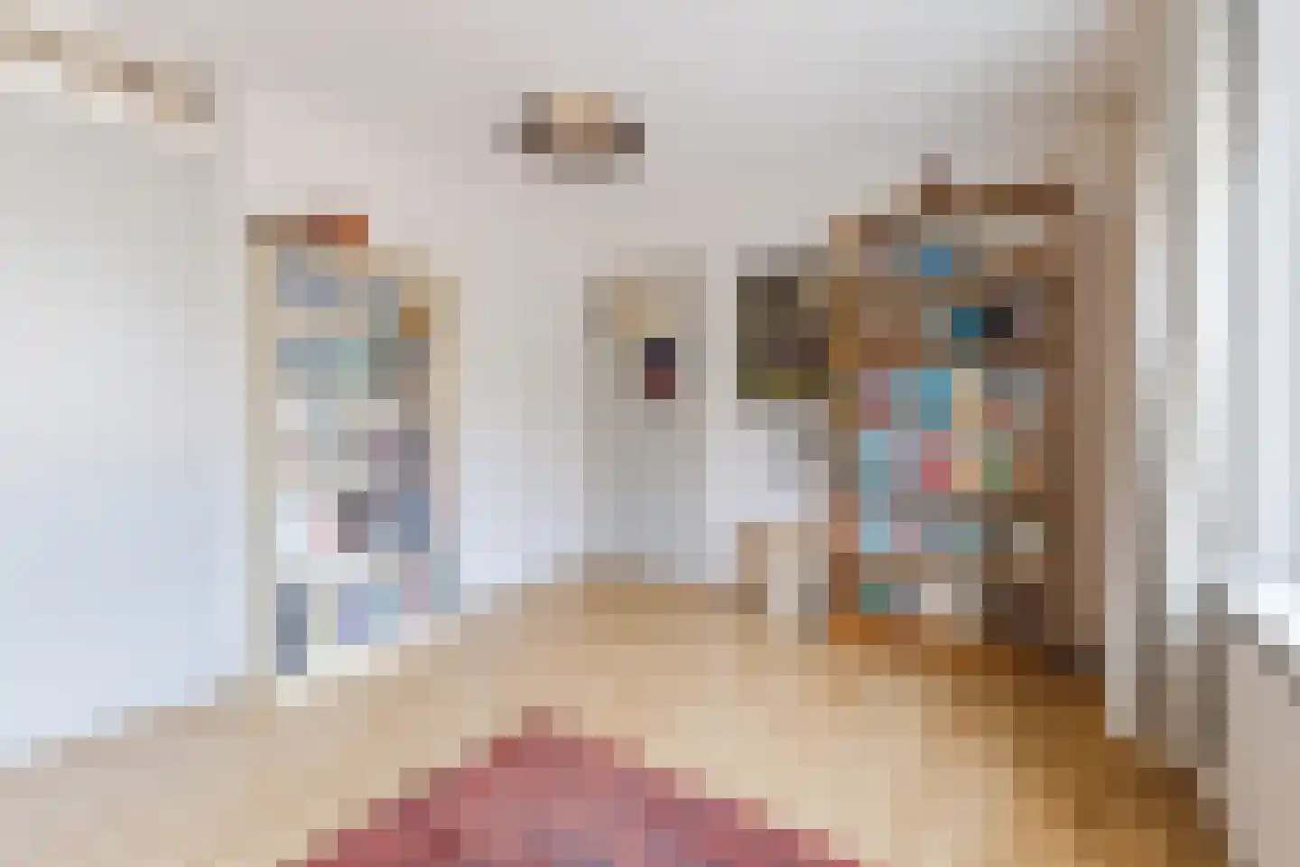 Louis Couperusstraat 1 Papendrecht thumbnail 18