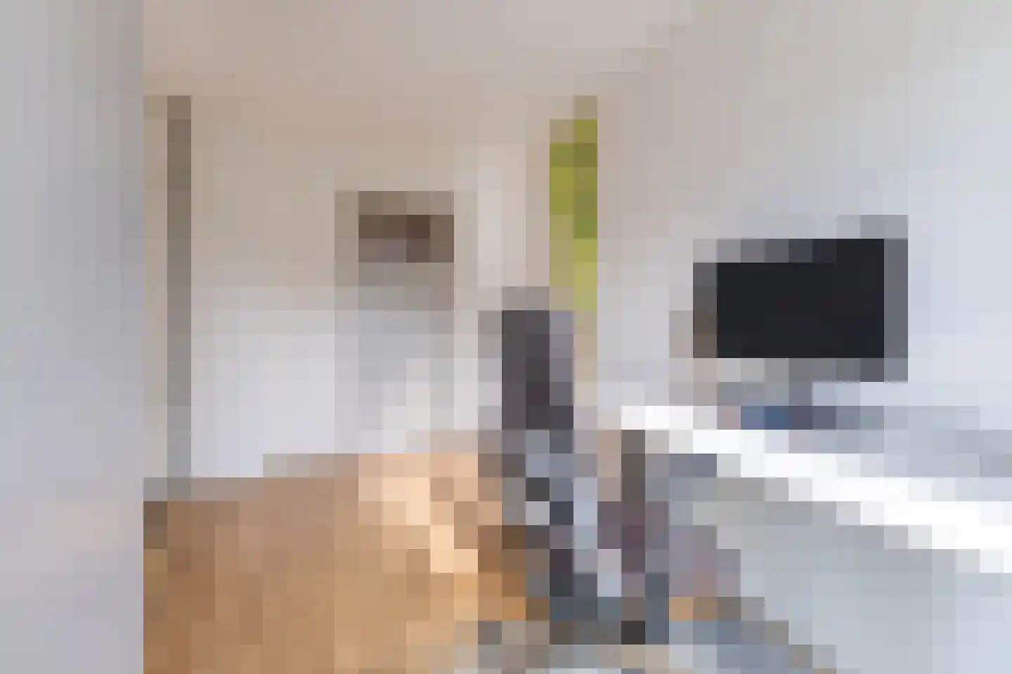 Louis Couperusstraat 1 Papendrecht thumbnail 20