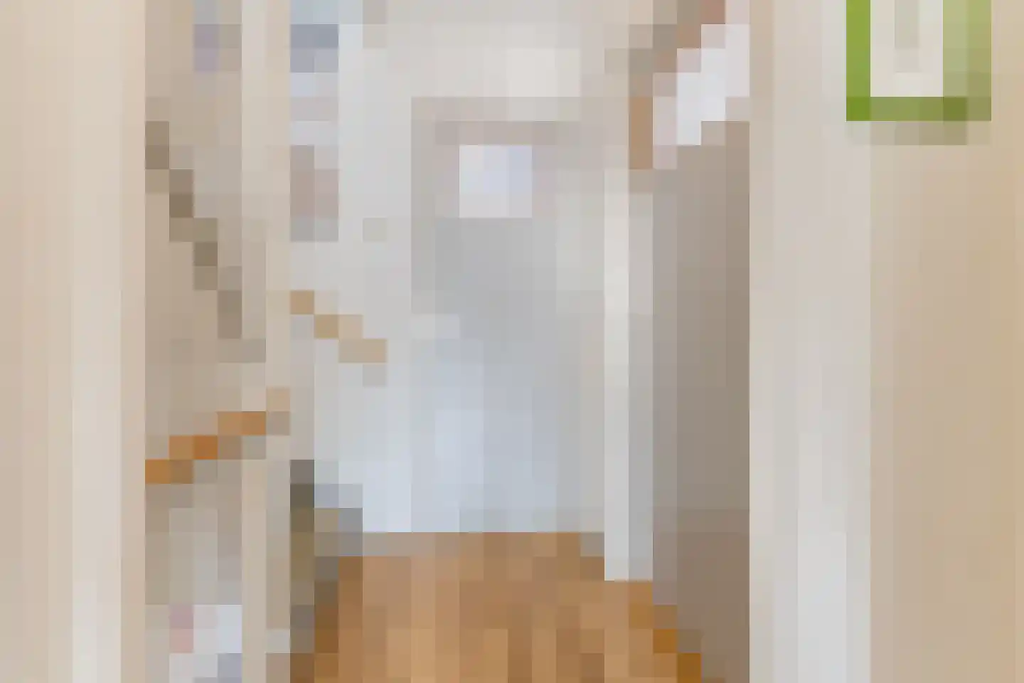 Louis Couperusstraat 1 Papendrecht thumbnail 24