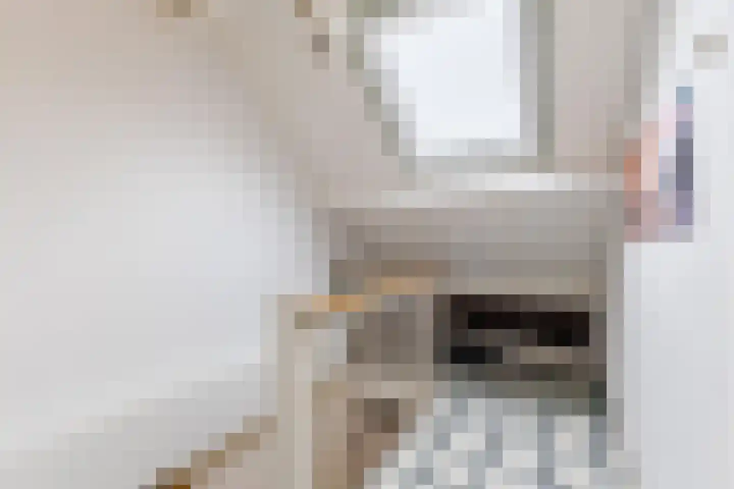 Louis Couperusstraat 1 Papendrecht thumbnail 26