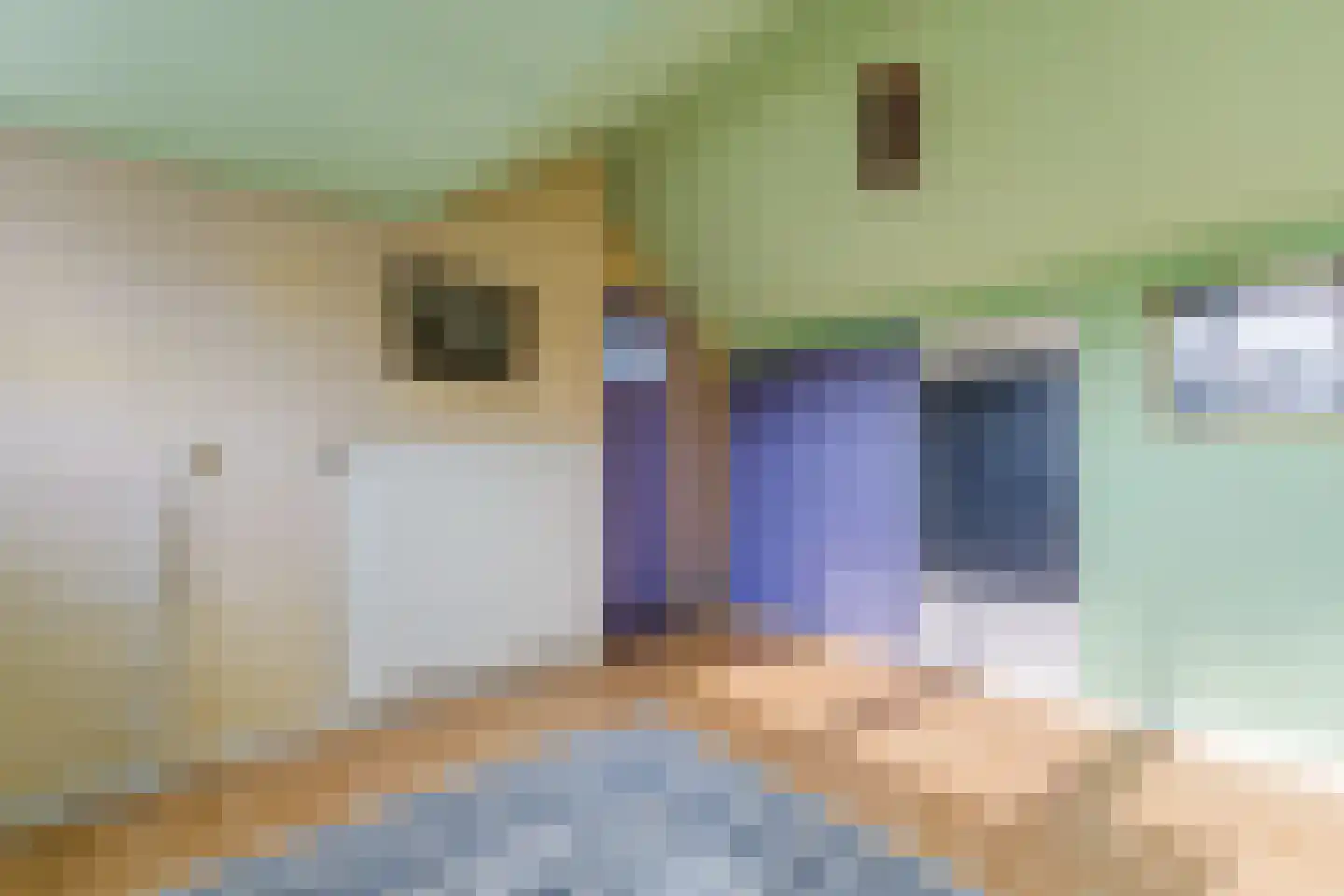 Louis Couperusstraat 1 Papendrecht thumbnail 29