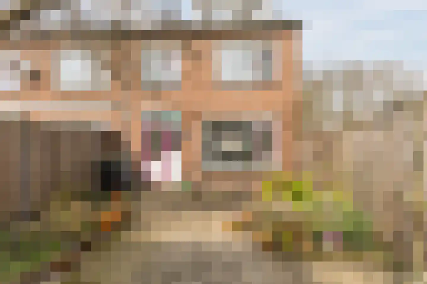 Louis Couperusstraat 1 Papendrecht thumbnail 32