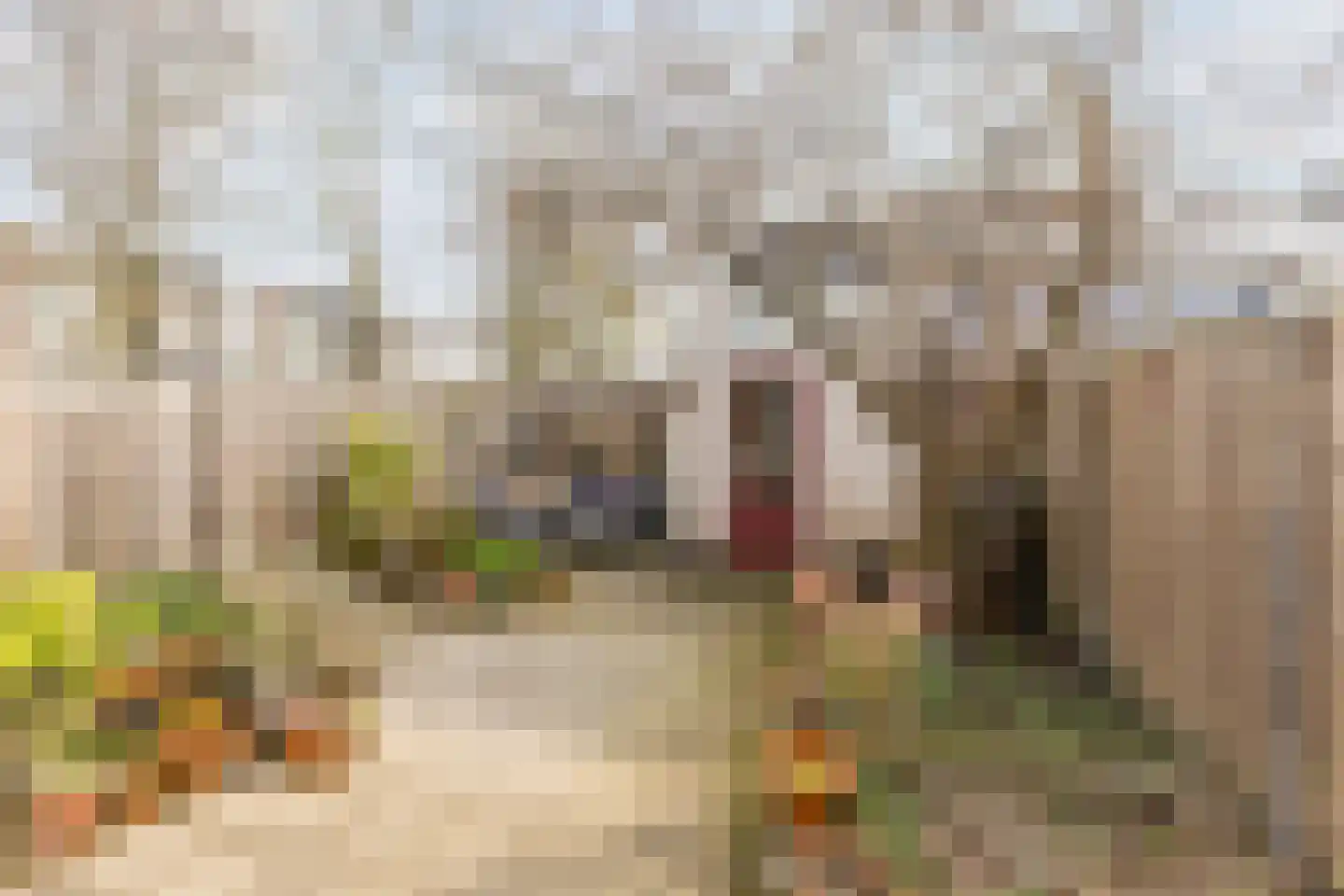 Louis Couperusstraat 1 Papendrecht thumbnail 33