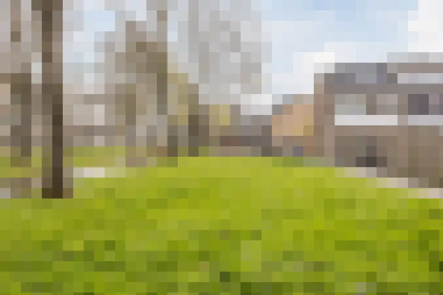 Louis Couperusstraat 1 Papendrecht thumbnail 37