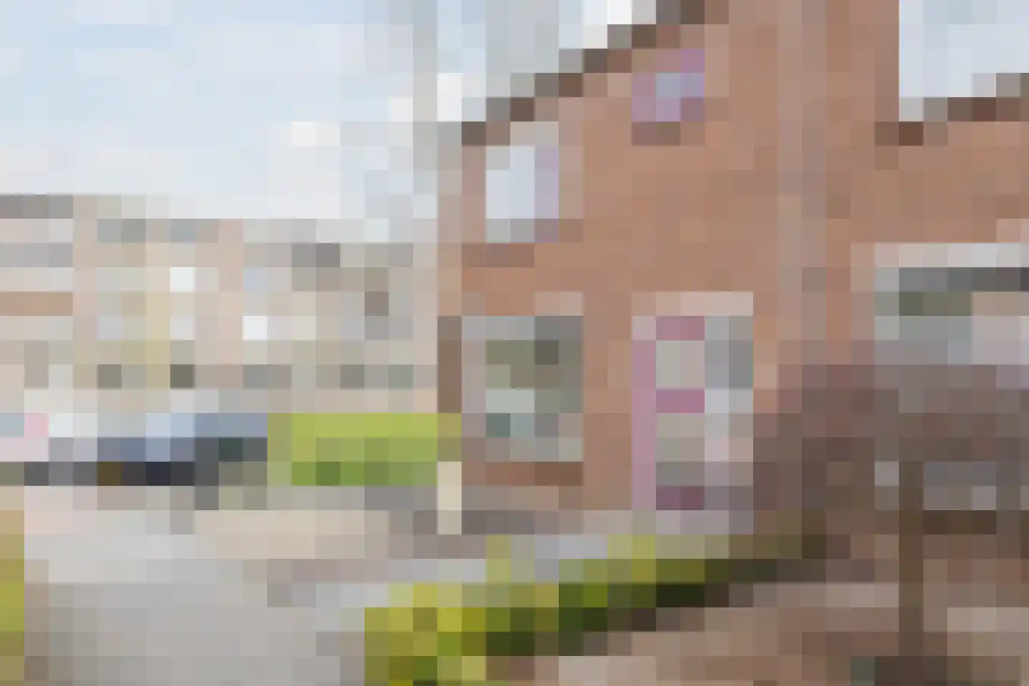 Louis Couperusstraat 1 Papendrecht thumbnail 38