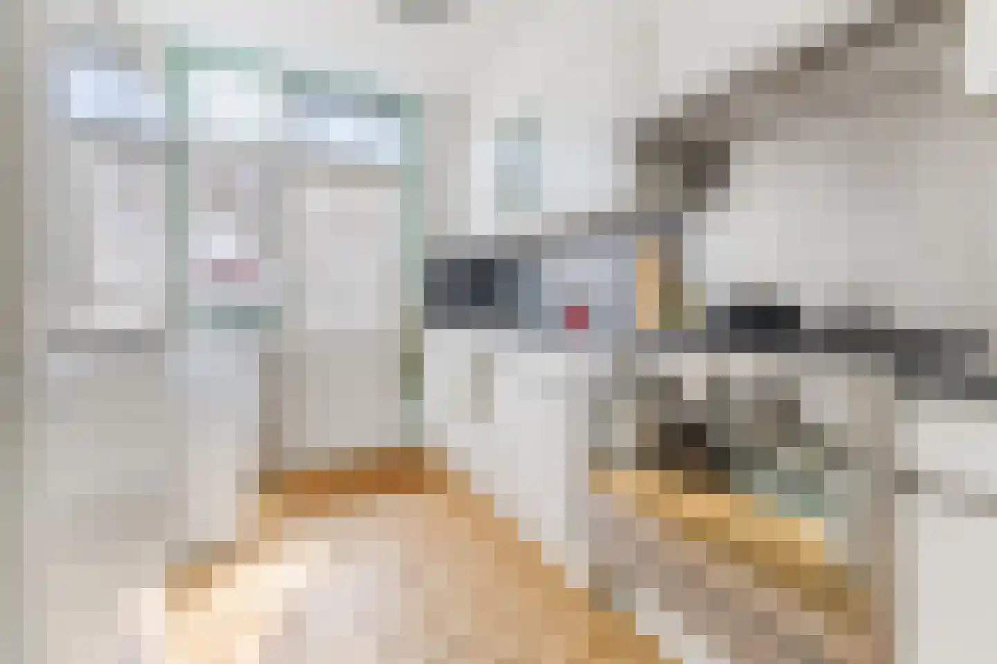 Louis Couperusstraat 1 Papendrecht thumbnail 8