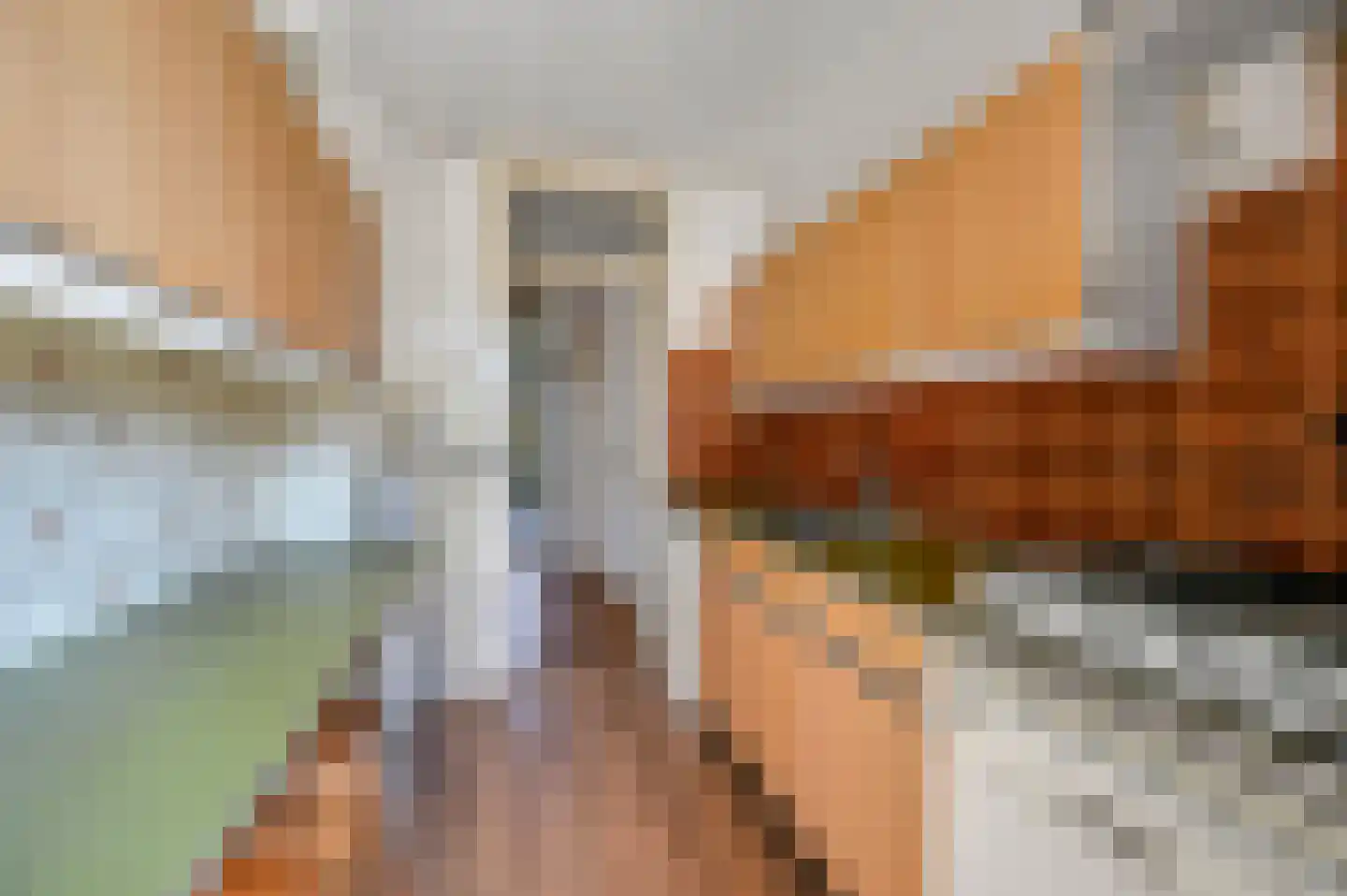 Louis Couperusstraat 15 Voorburg thumbnail 18