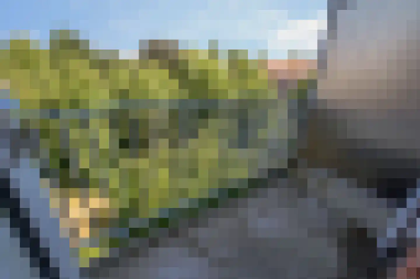 Louis Couperusstraat 15 Voorburg thumbnail 25