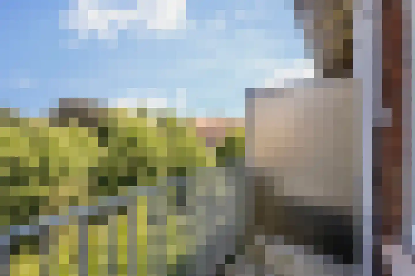 Louis Couperusstraat 15 Voorburg thumbnail 27