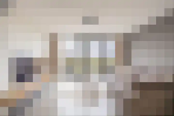 Louis Couperusstraat 19 Waddinxveen thumbnail 12