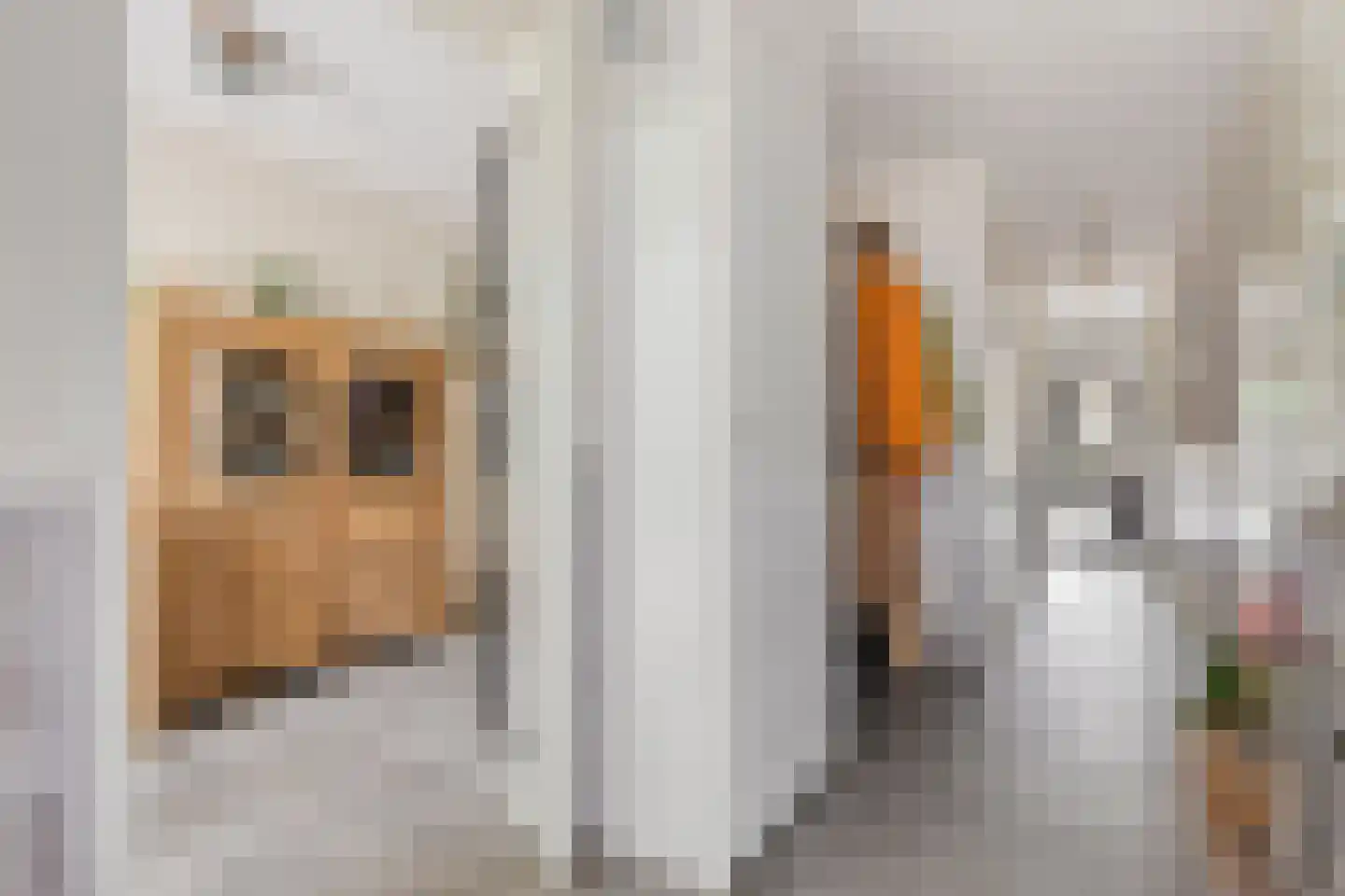 Louis Couperusstraat 23 Alkmaar thumbnail 6