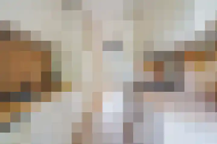 Louis Couperusstraat 23 Voorburg thumbnail 25