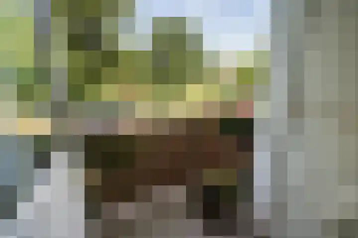 Louis Couperusstraat 23 Voorburg thumbnail 26