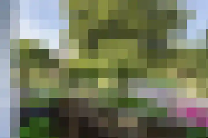 Louis Couperusstraat 23 Voorburg thumbnail 32