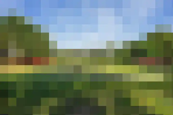 Louis Couperusstraat 23 Voorburg thumbnail 37