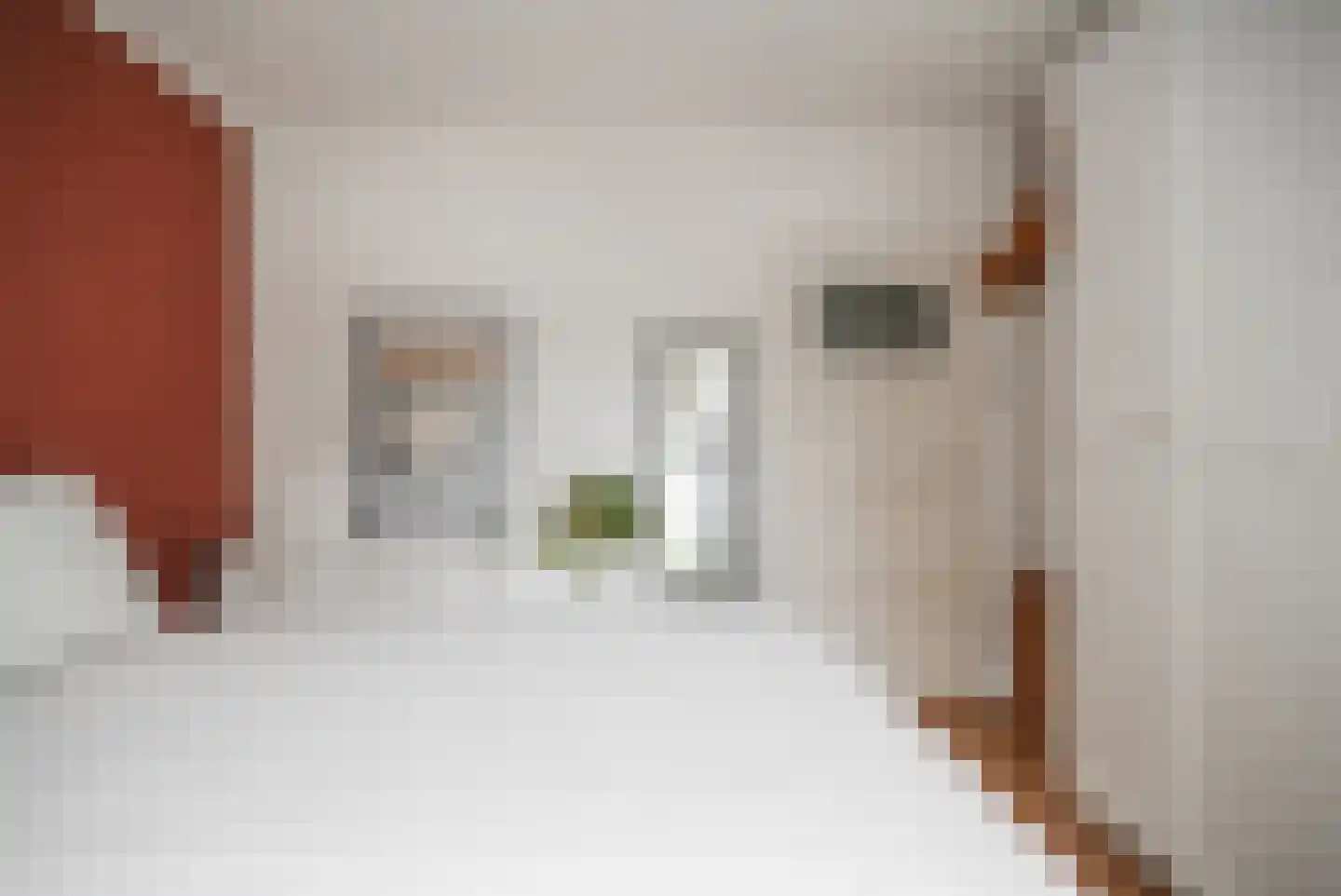 Louis Couperusstraat 25 Utrecht thumbnail 18