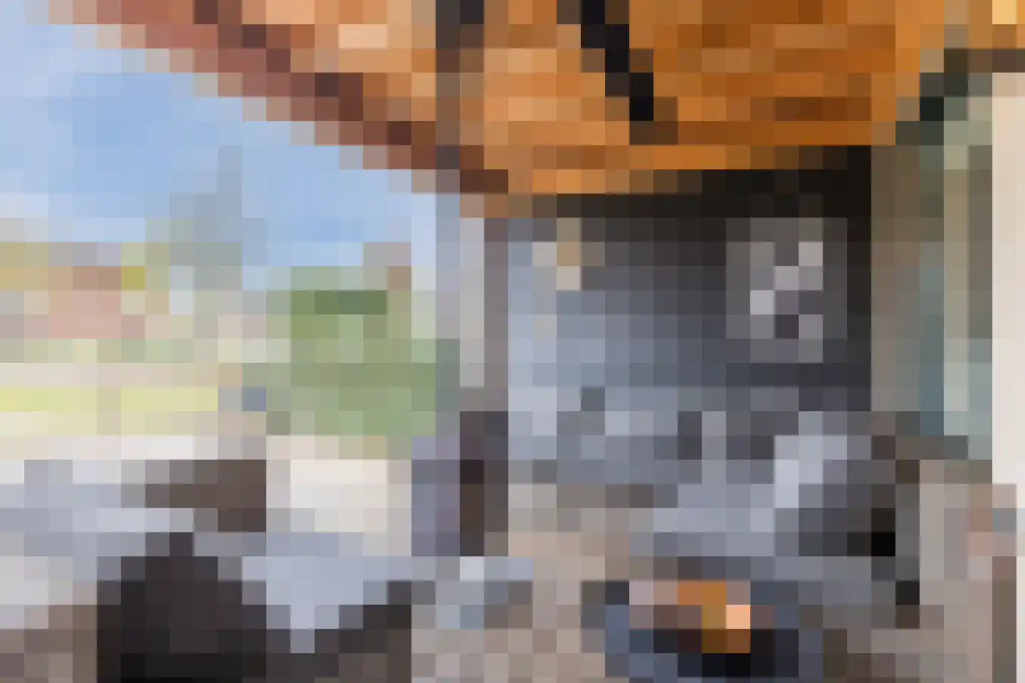 Louis Couperusstraat 28 Alkmaar thumbnail 41
