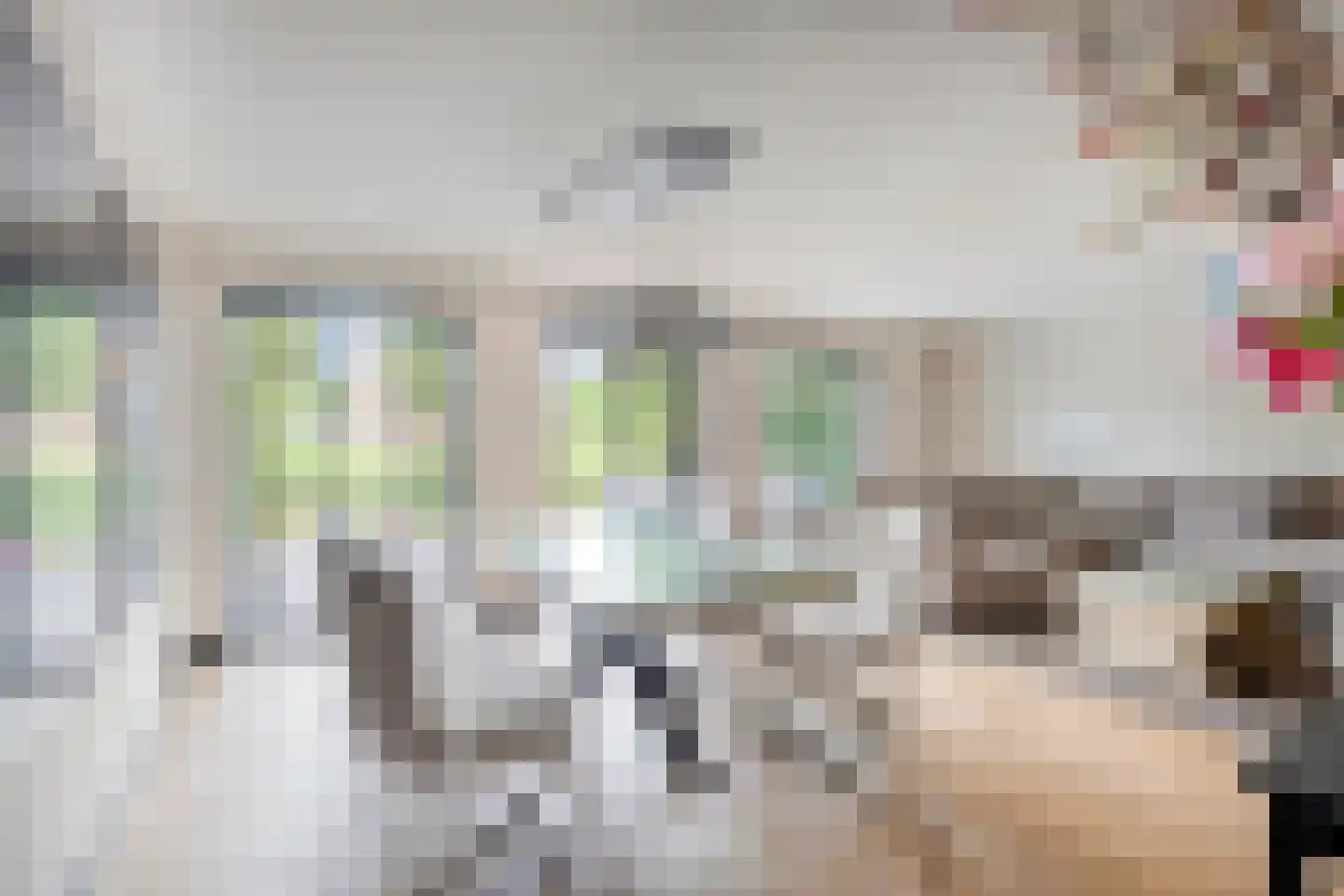 Louis Couperusstraat 46 Alkmaar thumbnail 17
