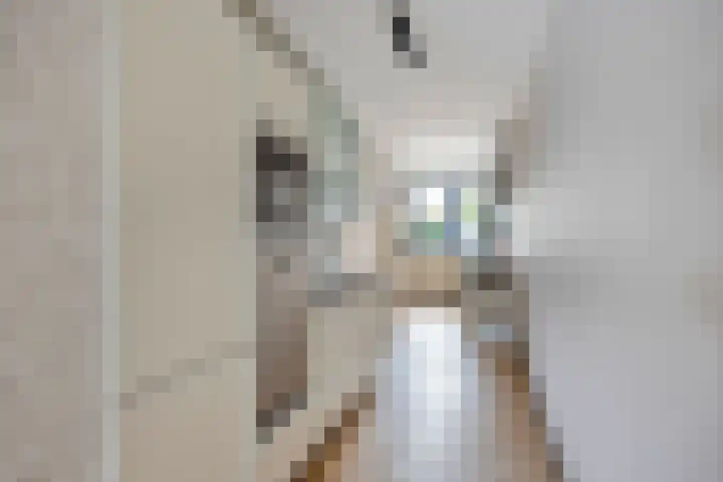Louis Couperusstraat 46 Alkmaar thumbnail 21