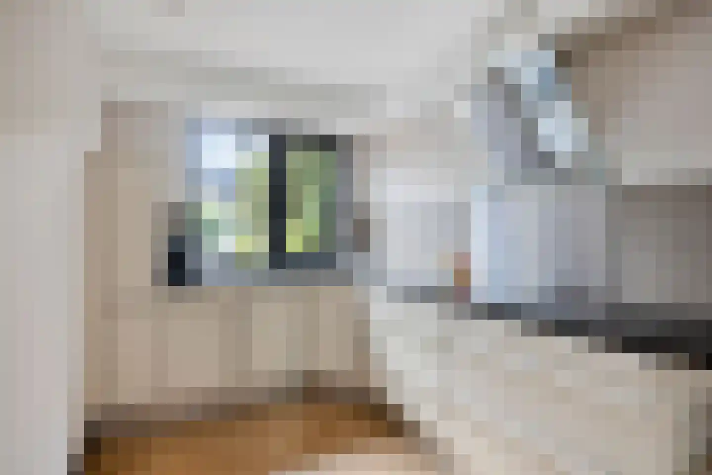 Louis Couperusstraat 46 Alkmaar thumbnail 24