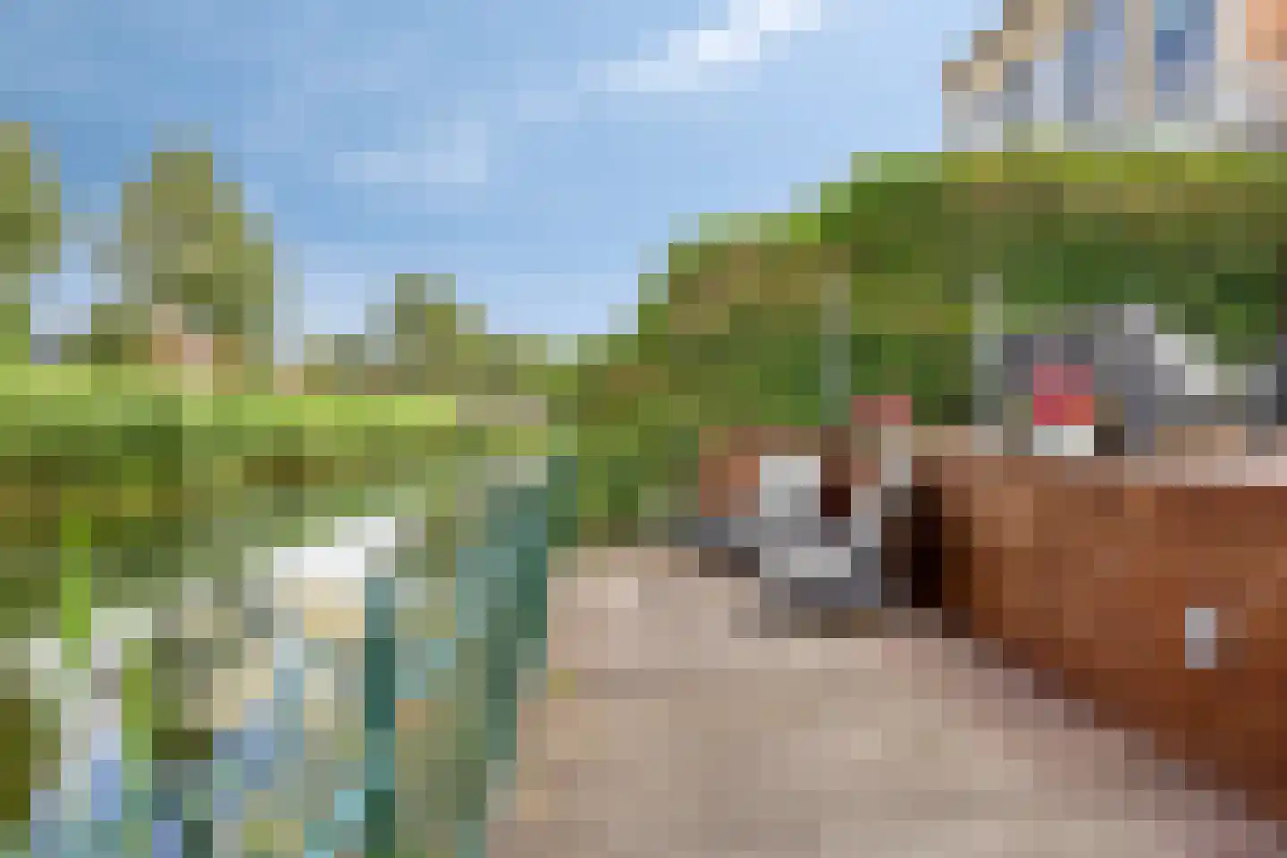 Louis Couperusstraat 46 Alkmaar thumbnail 33