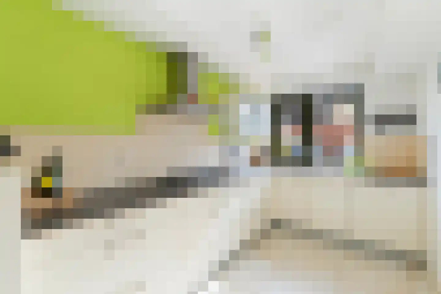 Louis Couperusstraat 52 Alkmaar thumbnail 8