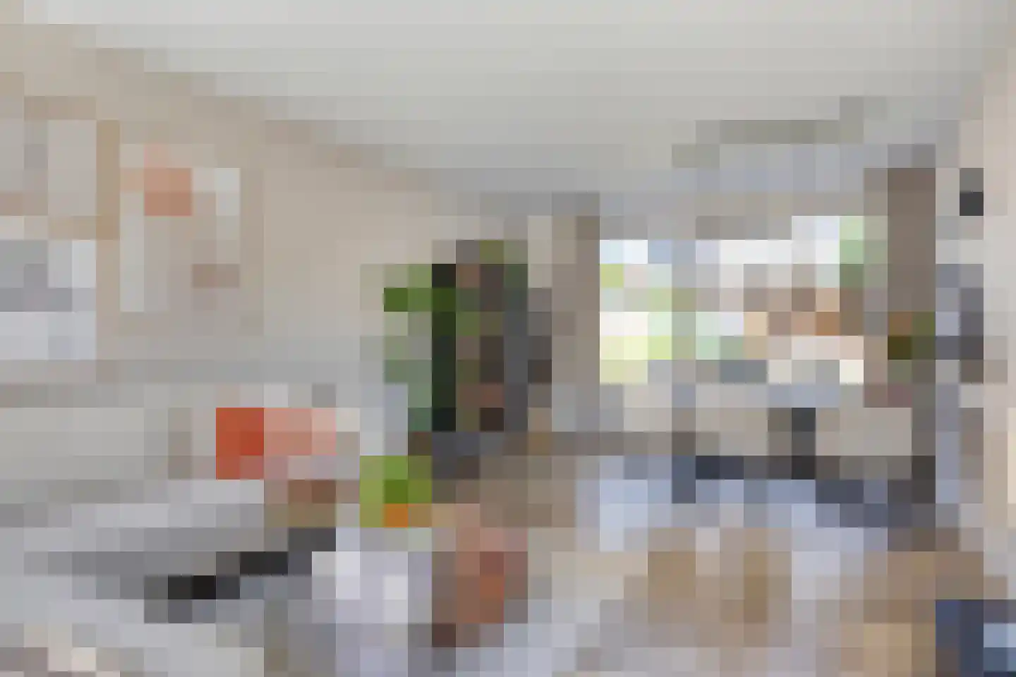 Louis Couperusstraat 66 Gemert thumbnail 19