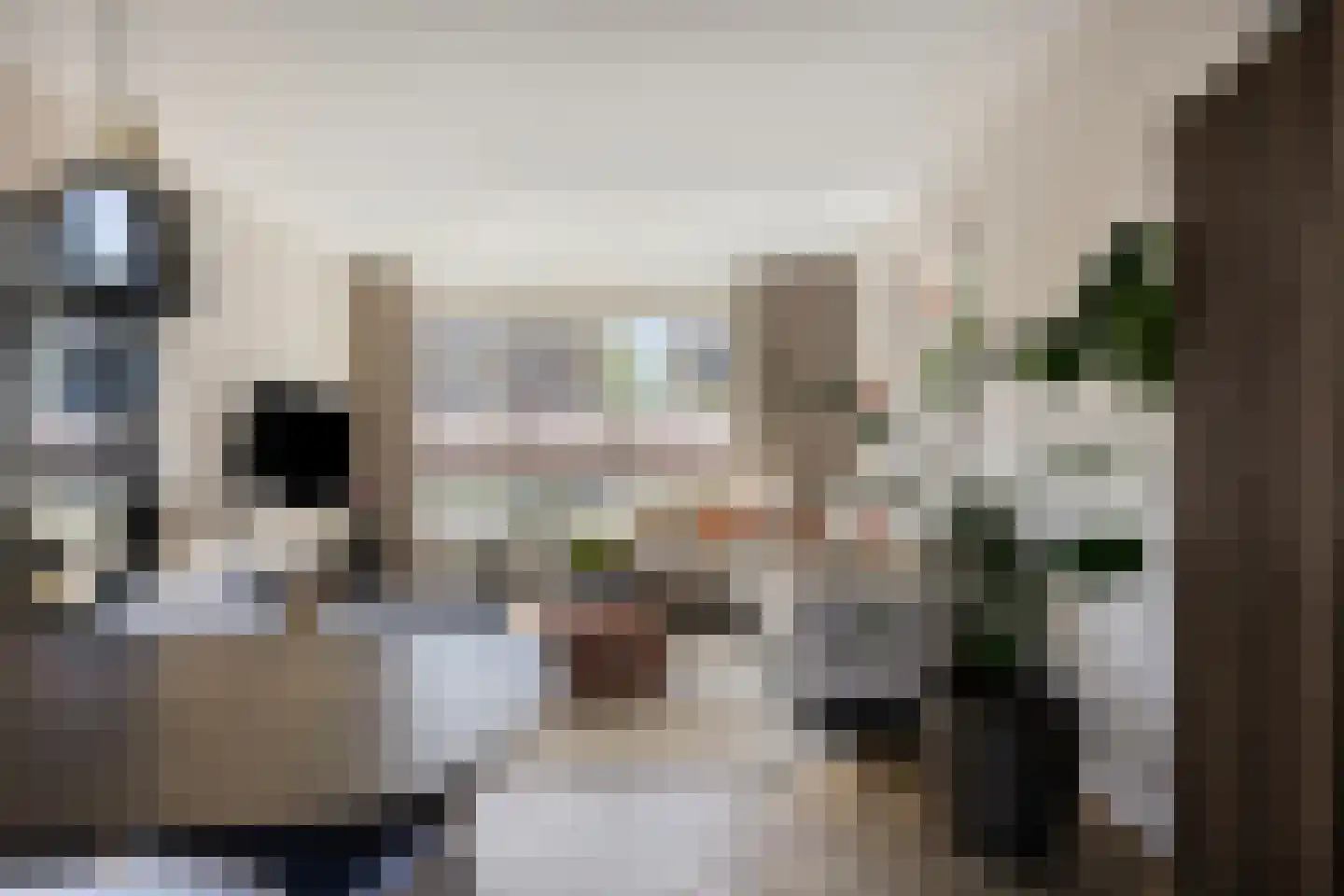 Louis Couperusstraat 66 Gemert thumbnail 23