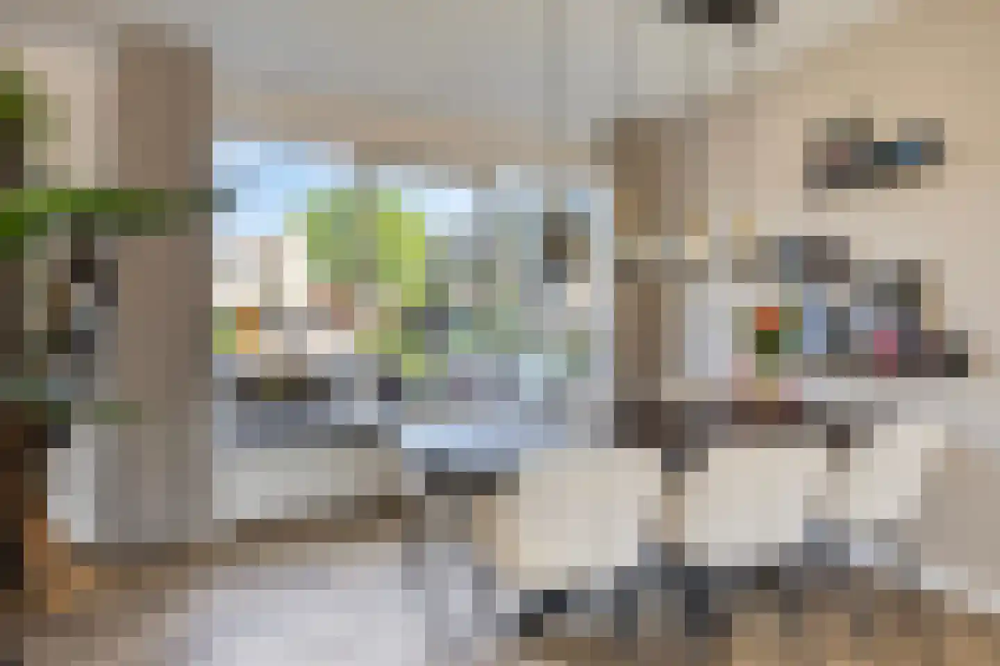 Louis Couperusstraat 66 Gemert thumbnail 26
