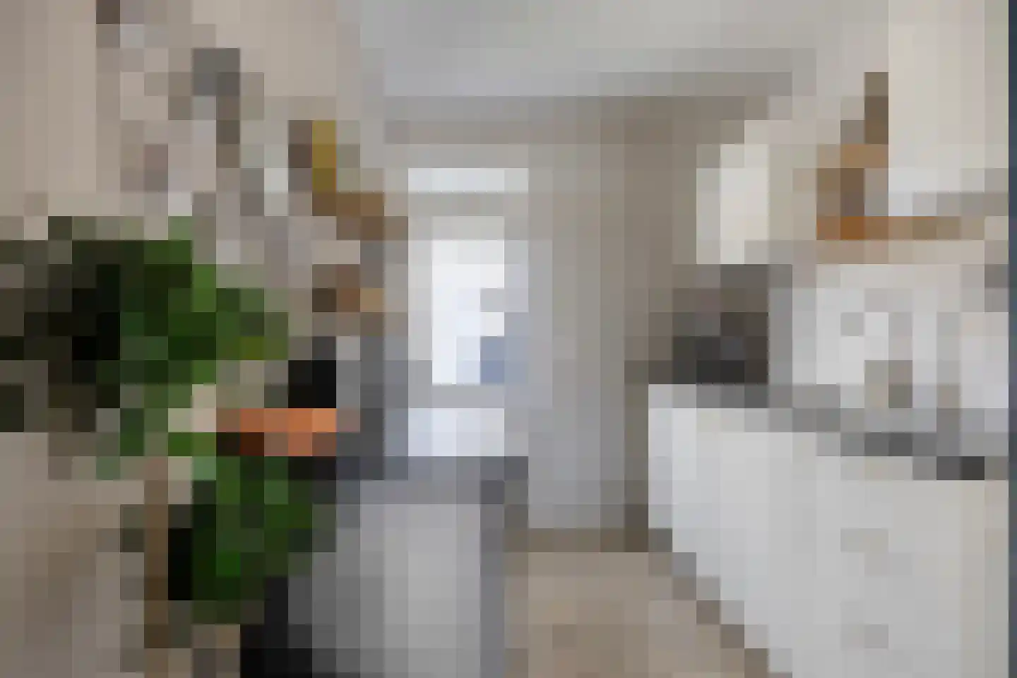 Louis Couperusstraat 66 Gemert thumbnail 28