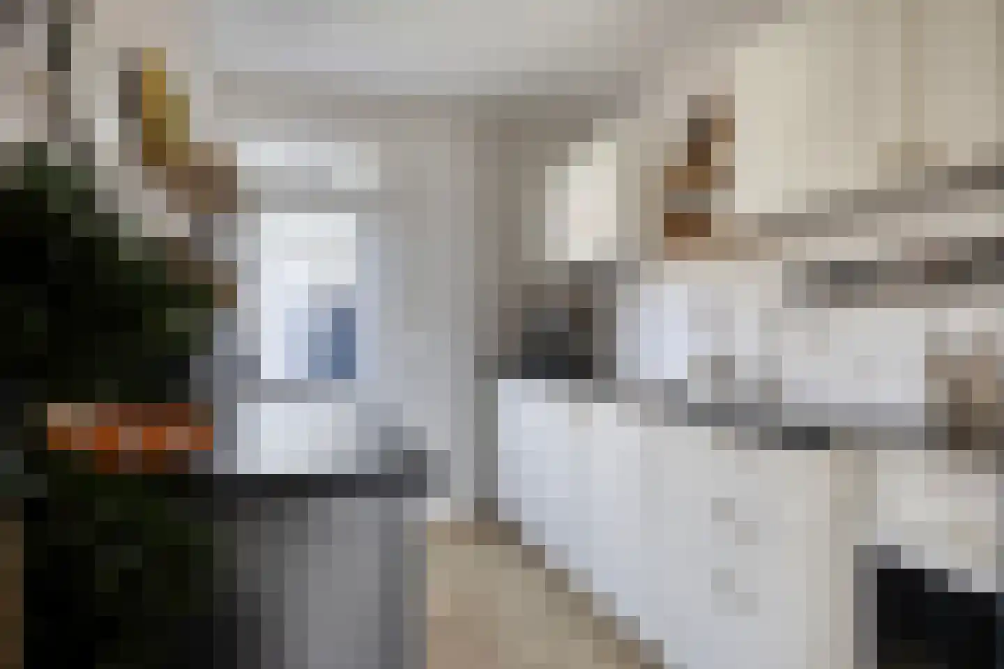 Louis Couperusstraat 66 Gemert thumbnail 29