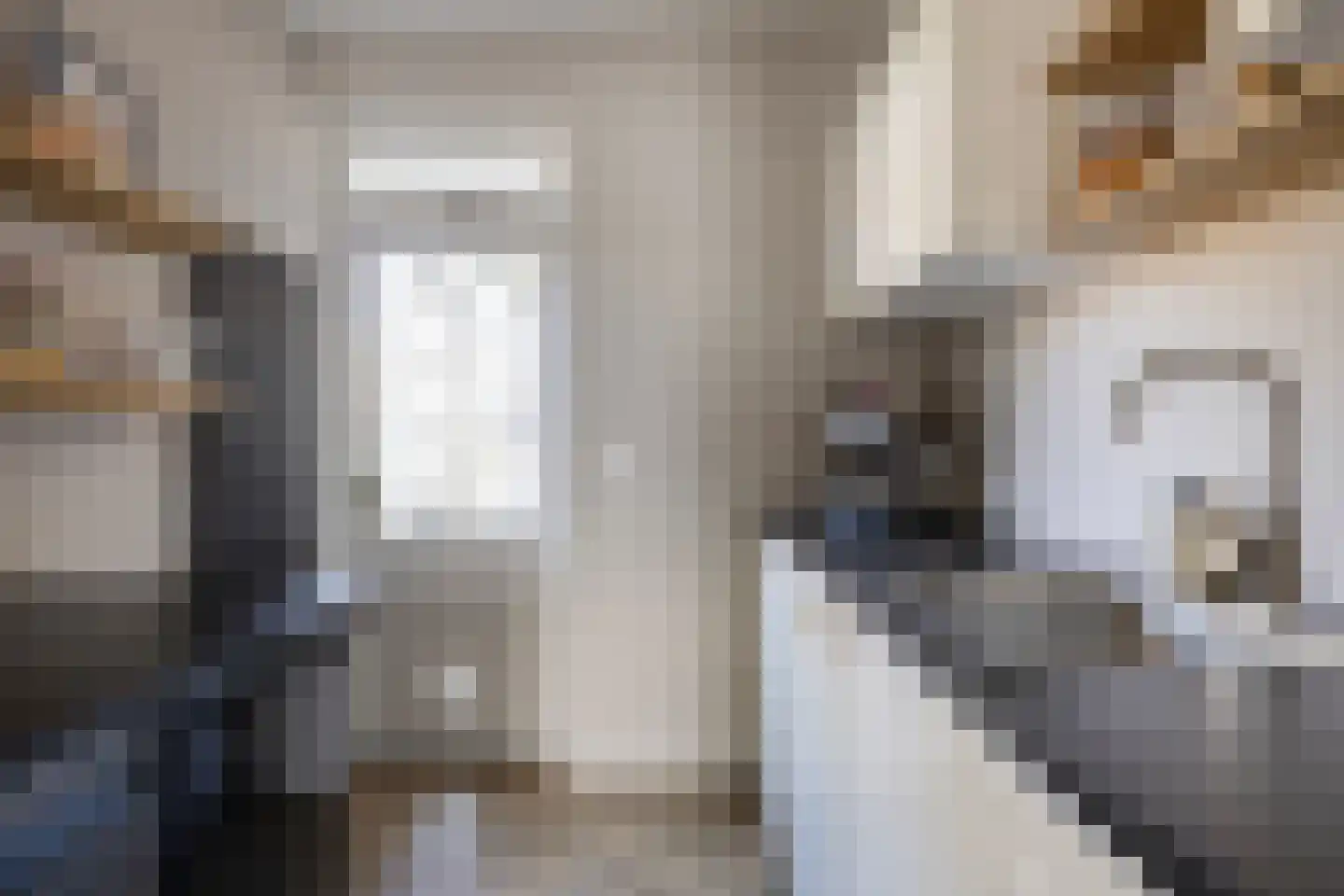 Louis Couperusstraat 66 Gemert thumbnail 30