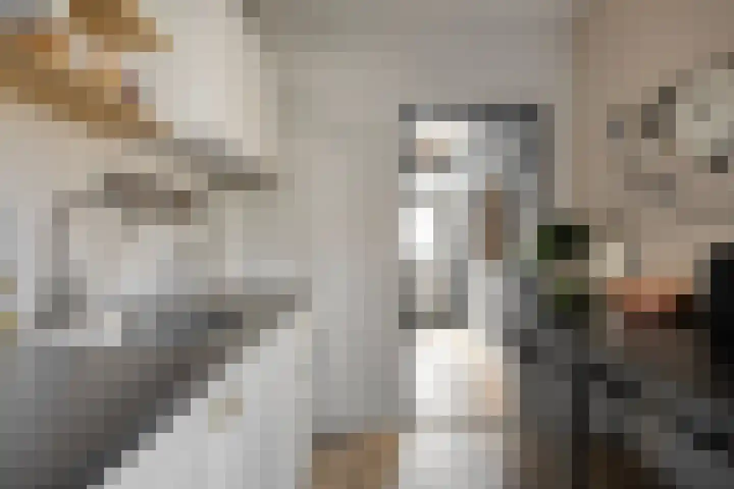 Louis Couperusstraat 66 Gemert thumbnail 31